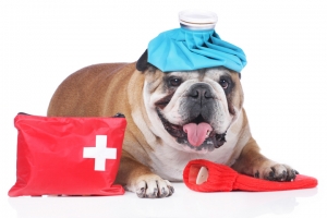 İZMİR - BAYINDIR Acil Müdahaleler ve Acil Servis